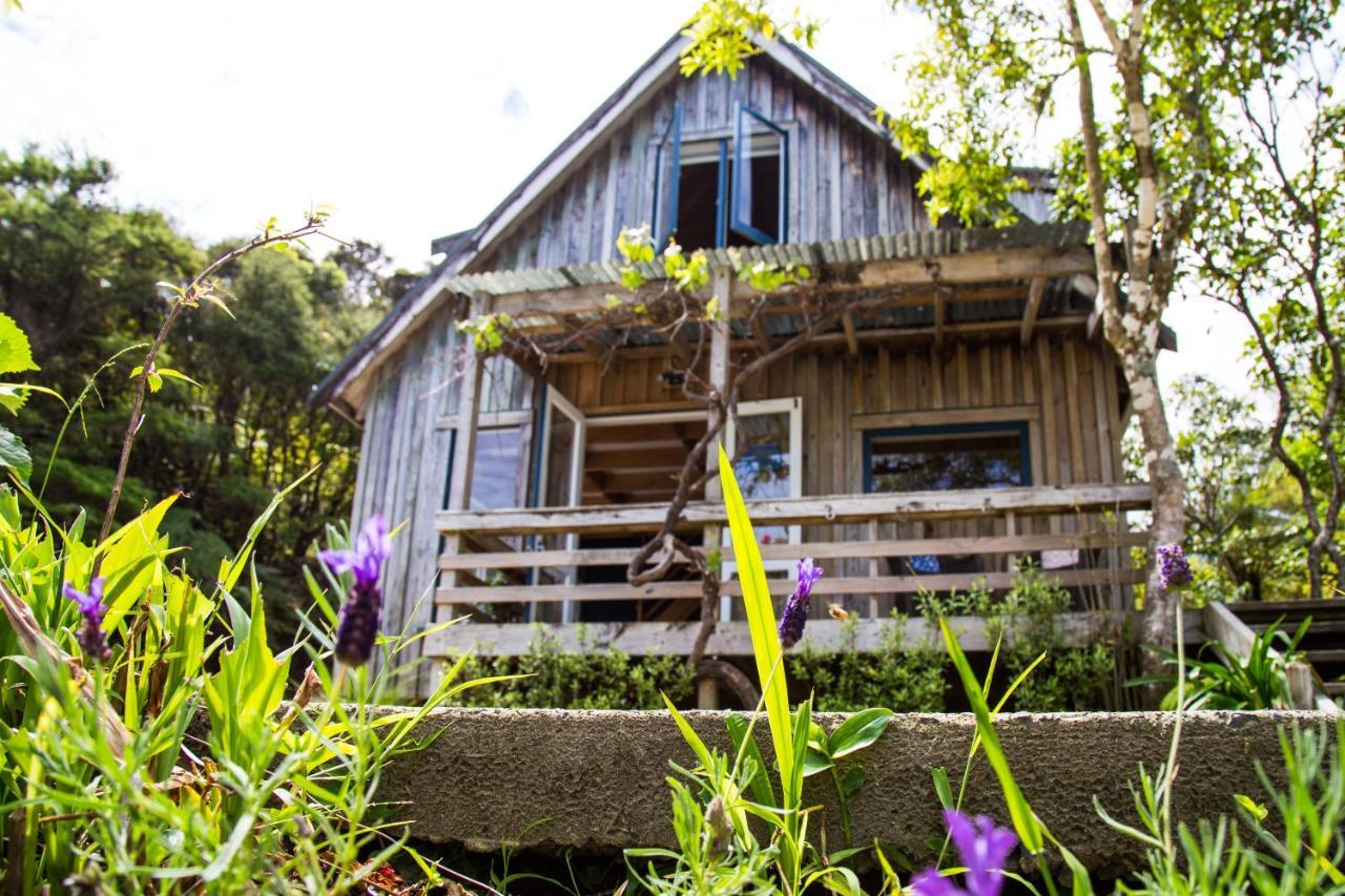 Fern Lodge Coromandel 외부 사진